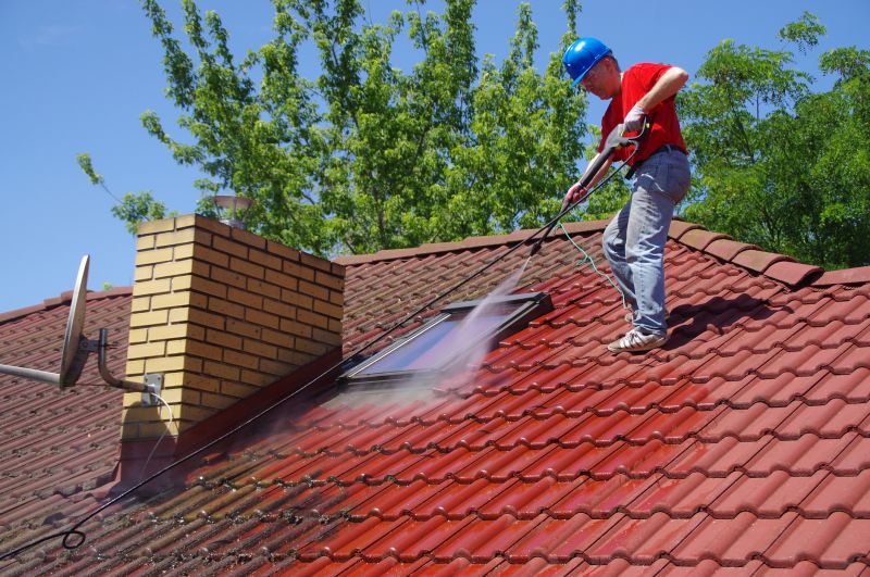 Benefits Of Professional Roof Cleaning