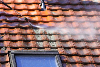 Benefits Of Professional Roof Cleaning