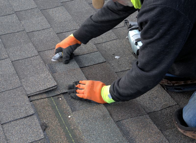 Signs Your Shingle Roof Is Leaking
