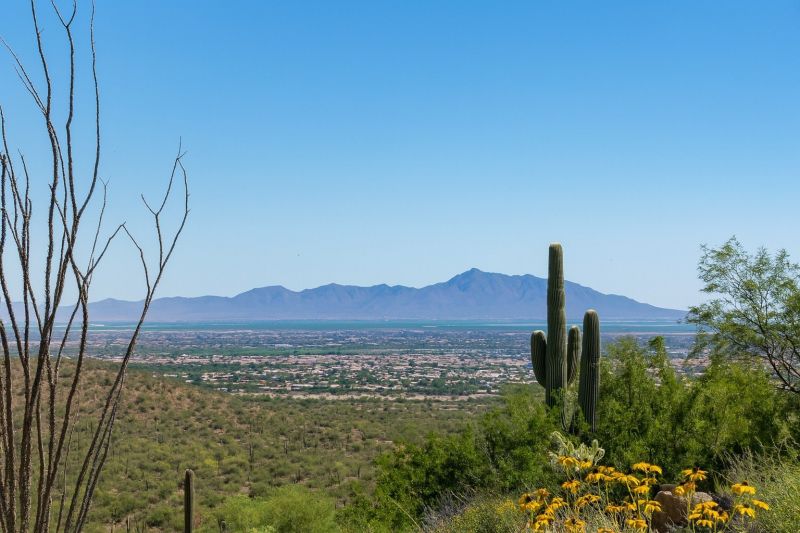 Asphalt Shingle Roof Replacement in Casa Grande, AZ